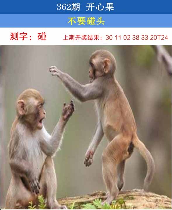362期开心果[图]