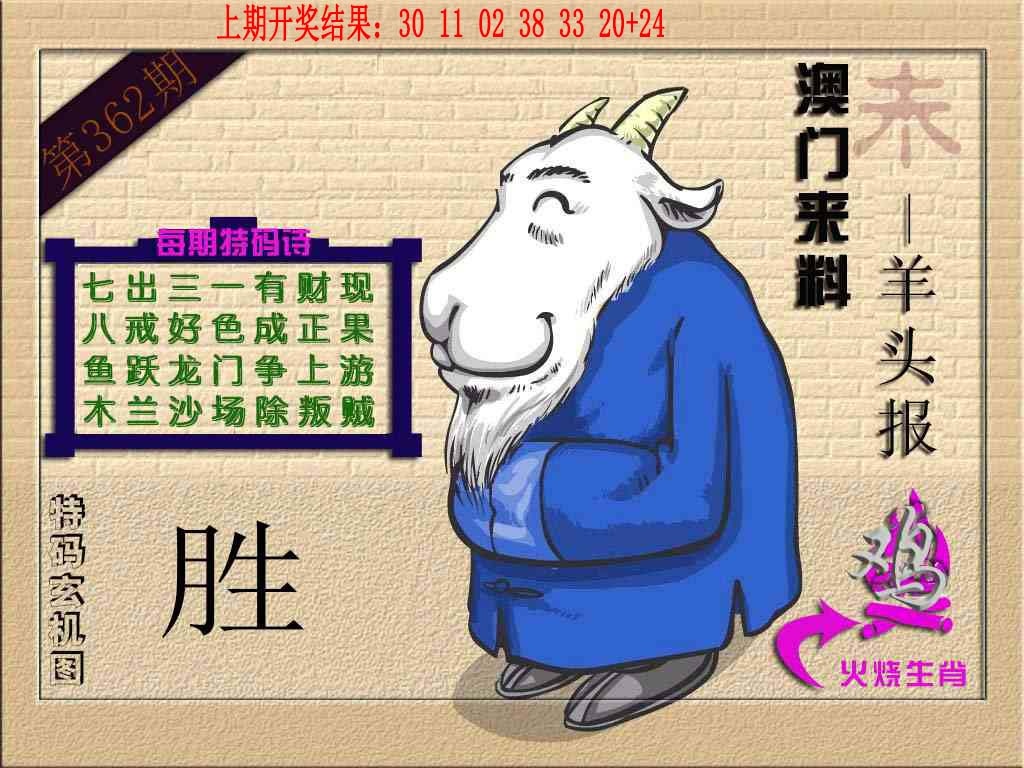 362期(来料)羊报[图]