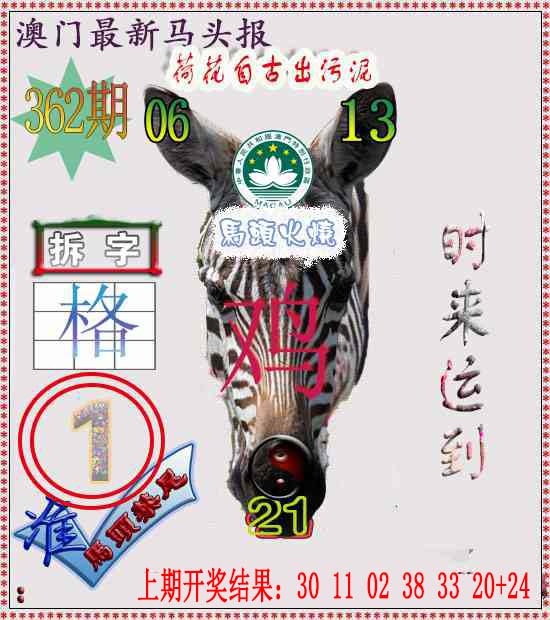 362期马头报[图]