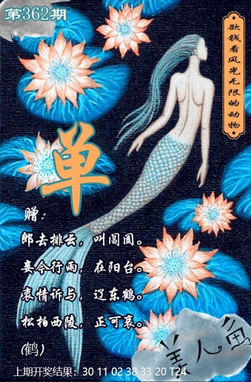 362期美人鱼单双中特图[图]