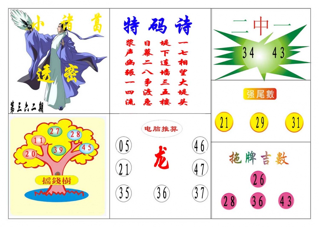 362期小诸葛[图]