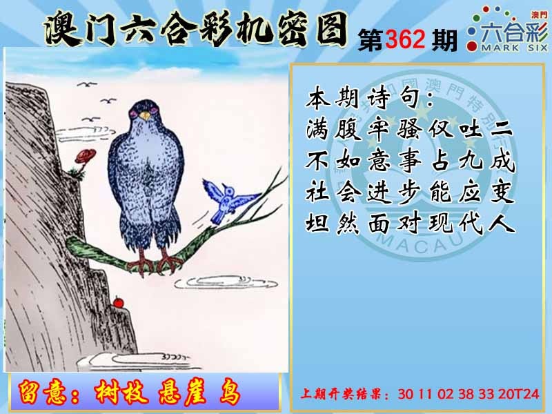 362期机密图[图]