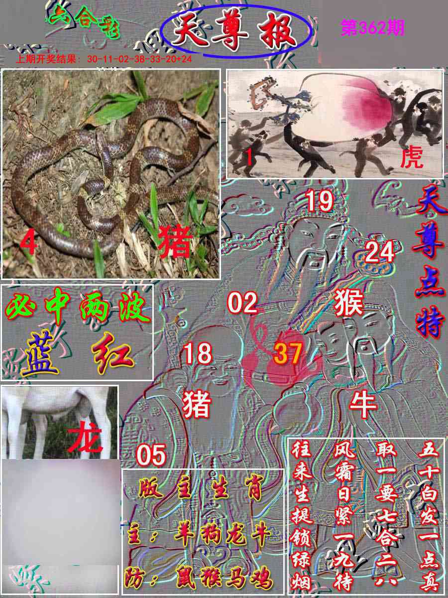 362期天尊报[图]