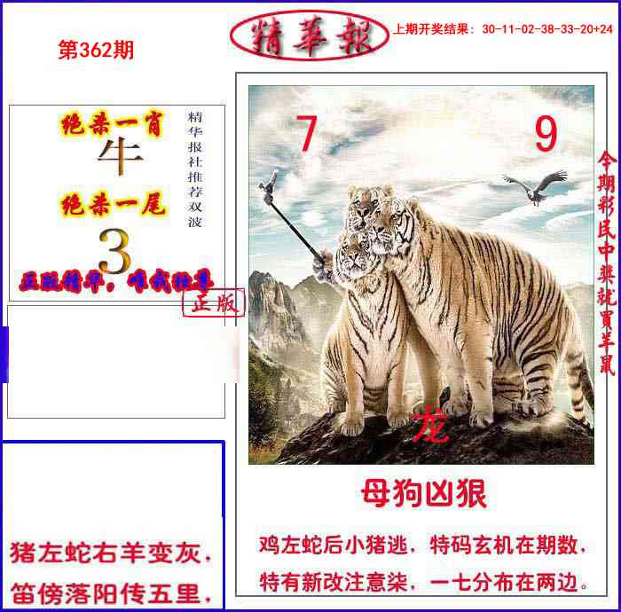 362期新精华报报[图]