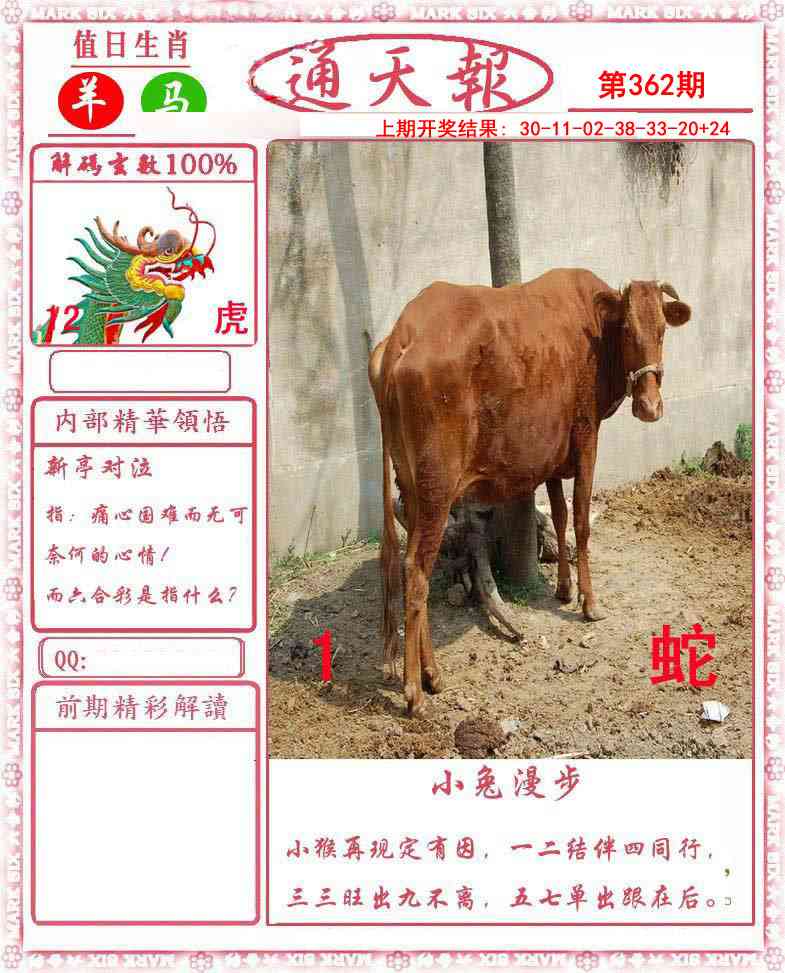 362期正版通天报[图]