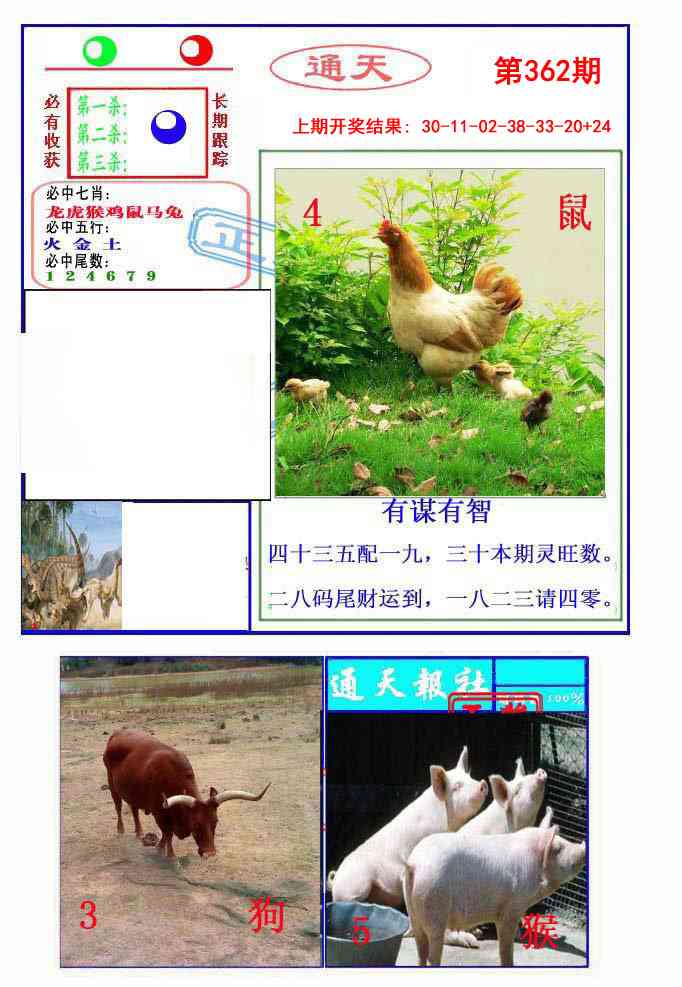 362期通天杀波图2[图]