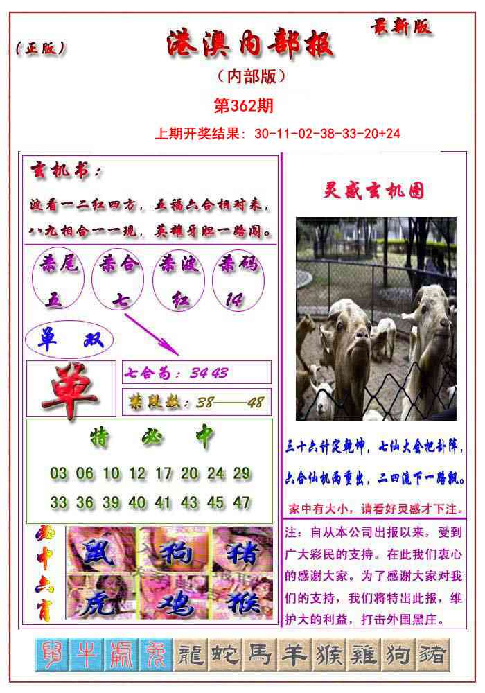 362期港澳报[图]