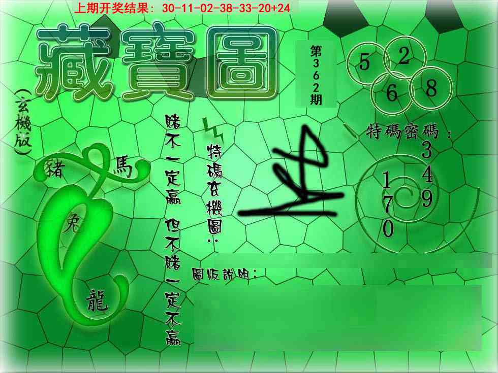 362期九龍玄机报[图]