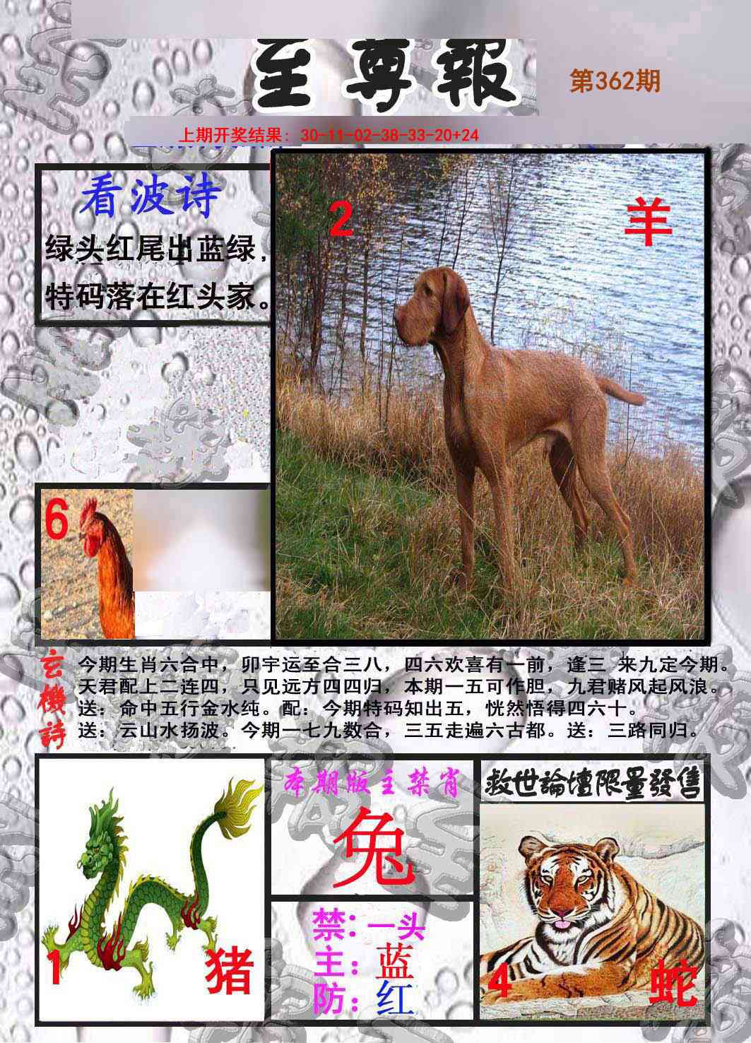362期至尊报[图]