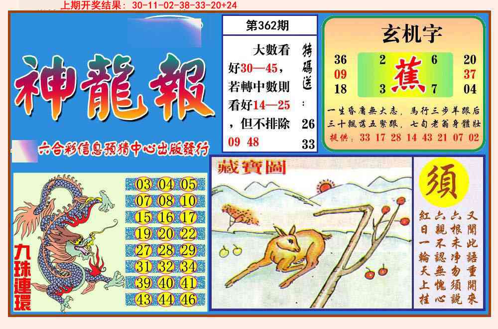 362期神龙报[图]