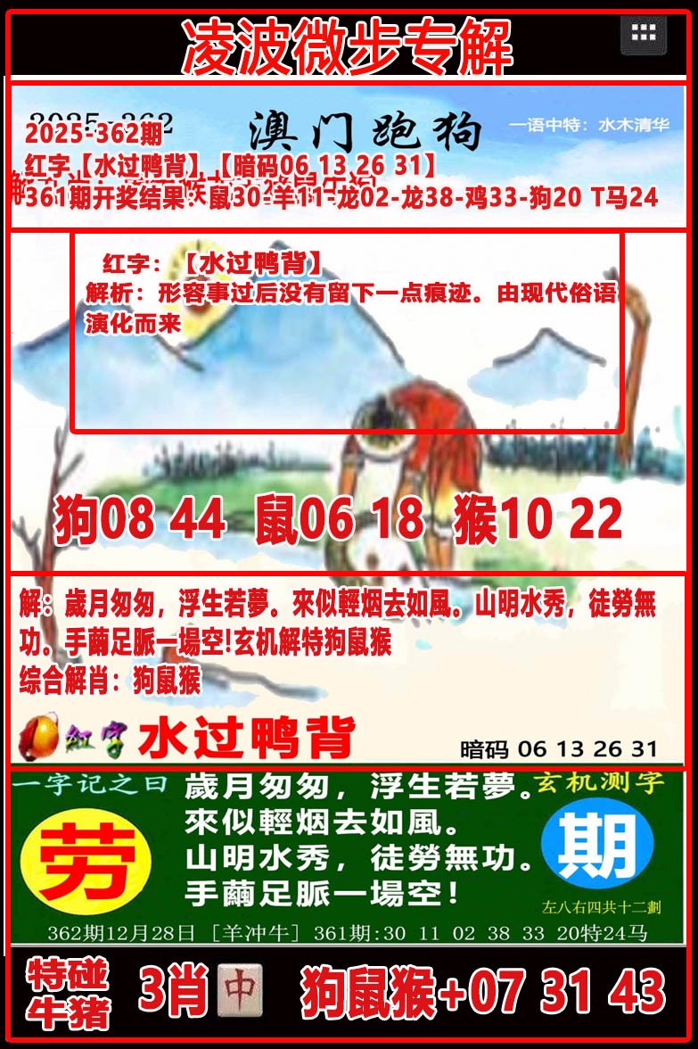 362期凌波微步[图]