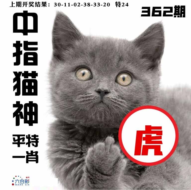 362期中指猫神[图]