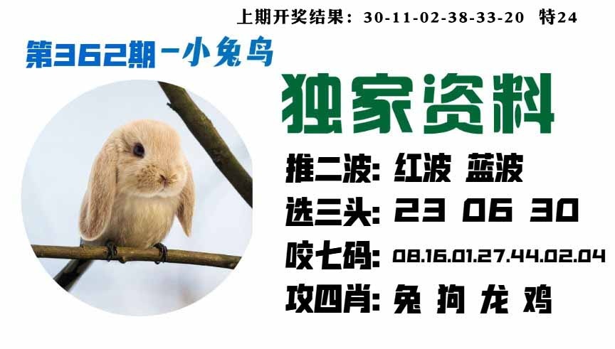 362期小兔鸟[图]